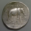 elephant coin