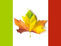 a natural multi-coloured canadian flag
